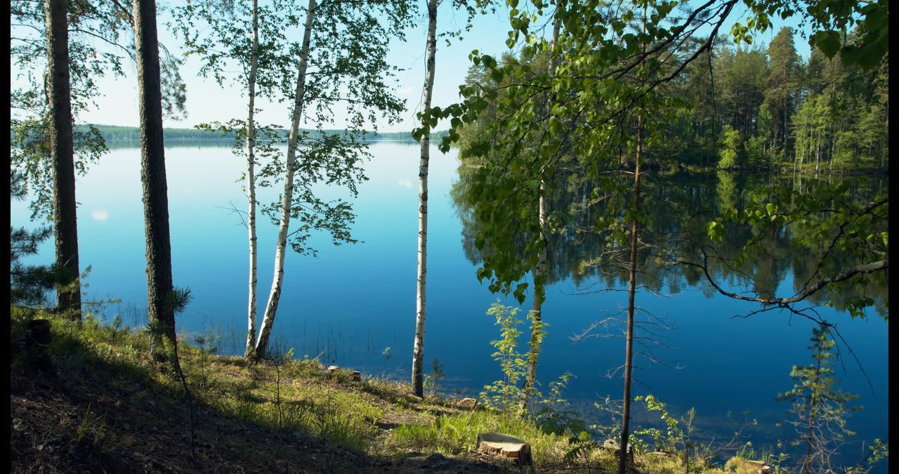 Hotel Kruunupuisto Punkaharju Extérieur photo